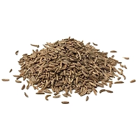 Caraway Seed