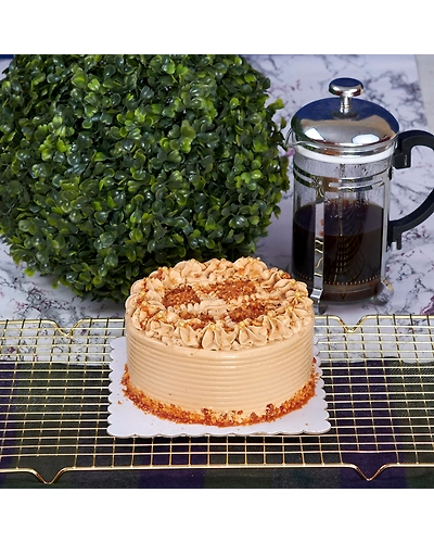 Mocha Praline Cake-6&quot; petite-regular-1