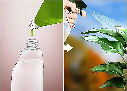 Katyayani Activated Neem Oil for Plants Garden Kitchen Insect Spray Pest Control Organic Azadirachtin Pesticide Fast Results-3
