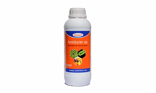 Katyayani Acetobacter Bio Fertilizer ( 5 x 10*8 CFU ml/min ) for Plants and Home Garden Nitrogen Provider for Sugarcane Sweet Sorghum Sweet Corn Eco Friendly Liquid Nitrogen fixing Bacteria