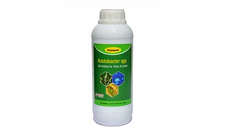Katyayani Azotobacter Bio Fertilizer (5 x 10*8 CFU ml/min) for Plants & Home Garden Nitrogen Provider in Fruits Vegetables Spicies Fibre  Aromatic Medicinal Ornamental Crops Nitrogen fixing