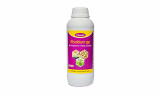 Katyayani Rhizobium Bio Fertilizer ( 5 x 10*8 CFU ml/min ) for Plants and Home Garden Nitrogen Provider for Peas Clover Soybean Grams Eco Friendly Liquid Nitrogen fixing Bacteria