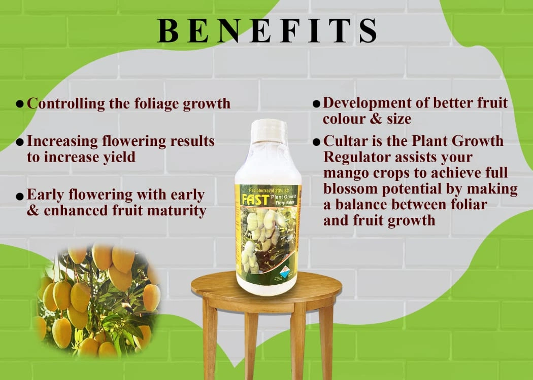 Katyayani Fast - Paclobutrazol 23% SC : Plant Growth Regulator Mango-2
