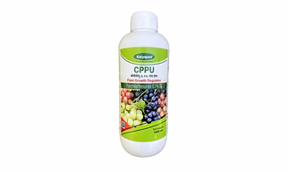 Katyayani CPPU Forchlorfenuron 0.1%L SL Plant Growth Regulator for Plants & Garden Increasing Fruit Size Shelf Life & Yield improve the quality Fruits of Berries Cytokinin Regulator