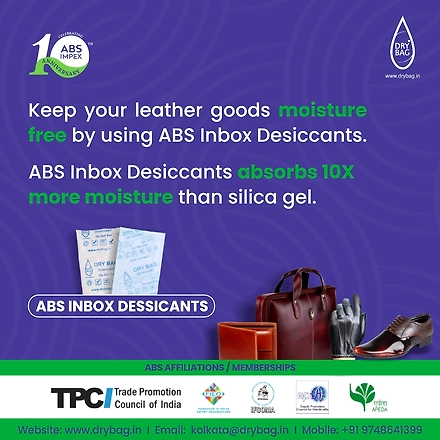 DRY BAG Inbox Desiccant 1Gram,Clay Based pouches and Dehumidifiers, Moisture Absorber, Eco Friendly (Pack of 250pcs)-2