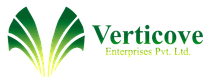 VERTICOVE ENTERPRISES PRIVATE LIMITED-logo