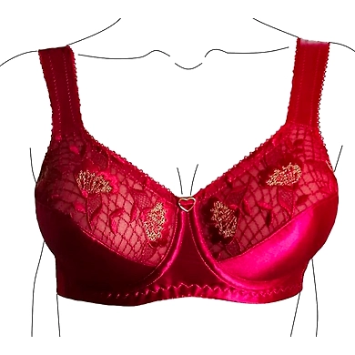 Valentine's BRA 1-6354628
