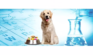 Veterinary Medicine