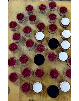 Beetroot