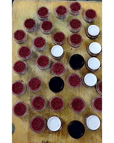 Beetroot-AAM084