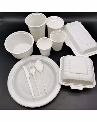 Corn Flakes Starch Plates &amp; Products-6358190