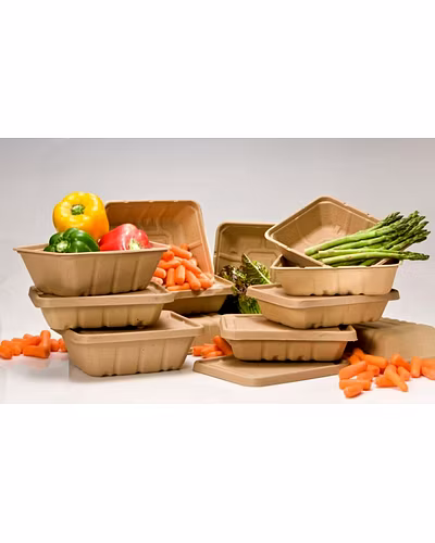 Corn Flakes Starch Plates &amp; Products-1