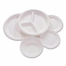 indora sugarcane bagasse plates