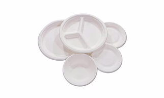 Sugarcane Bagasse Plates