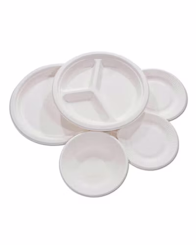 Sugarcane Bagasse Plates-6358194