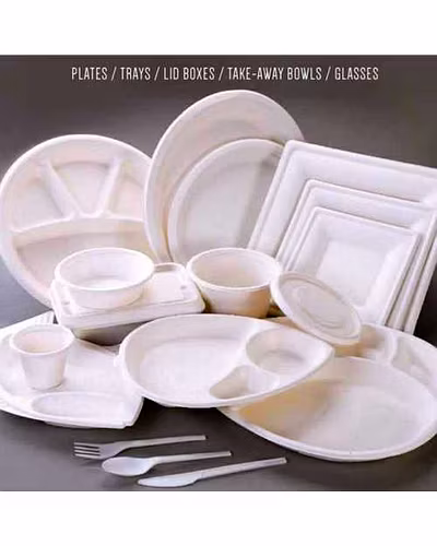Sugarcane Bagasse Plates-1