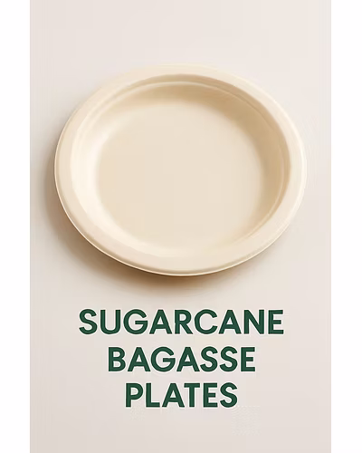 Sugarcane Bagasse Plates-2