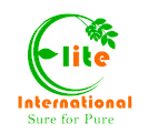 Elite international-logo