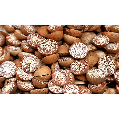Areca-6359708