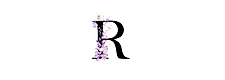 BookMyImports.com-logo