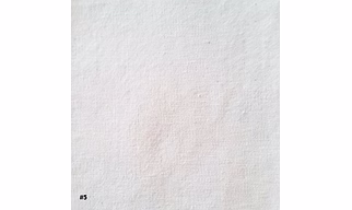 ORGANIC COTTON (PLAIN WEAVE) #5