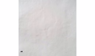 ORGANIC COTTON FABRIC (PLAIN WEAVE) #9,