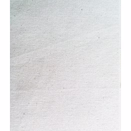 organic cotton fabric (plain weave) #15