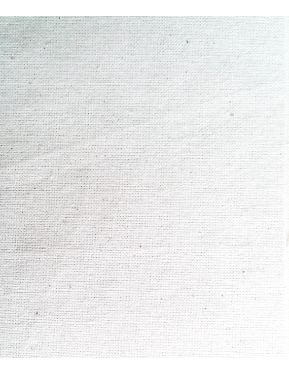 ORGANIC COTTON FABRIC (PLAIN WEAVE) #15-12695039
