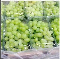 FRESH GRAPES-1