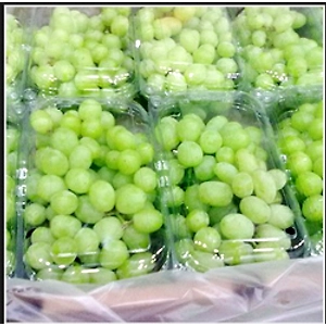 FRESH GRAPES