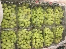 FRESH GRAPES-2