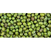 moong
