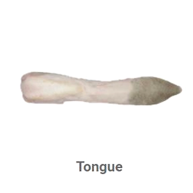 Offal Products-1