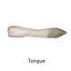 Offal Products-1-sm