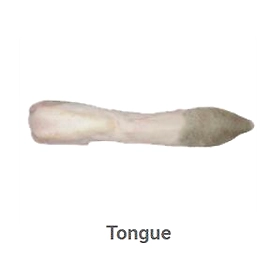 Offal Products