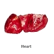 Offal Products-3-sm