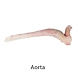 Offal Products-14-sm