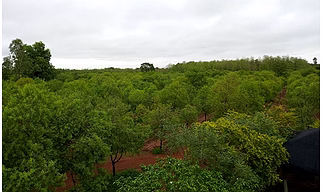 Agri