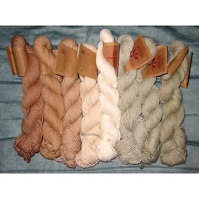 Organic Cotton Yarn-AIL005
