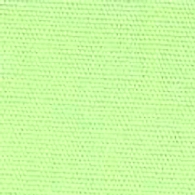 Dyed Canvas
