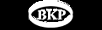 BKP ENTERPRISES-logo