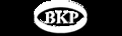 BKP ENTERPRISES-logo