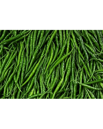 Green Chilli-6395946