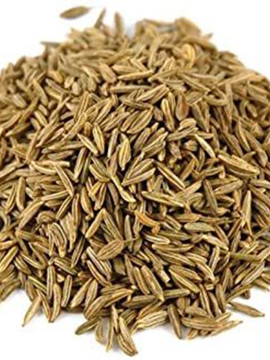 Fresh Cumin Seeds-BHA009