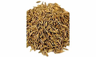 Fresh Cumin Seeds