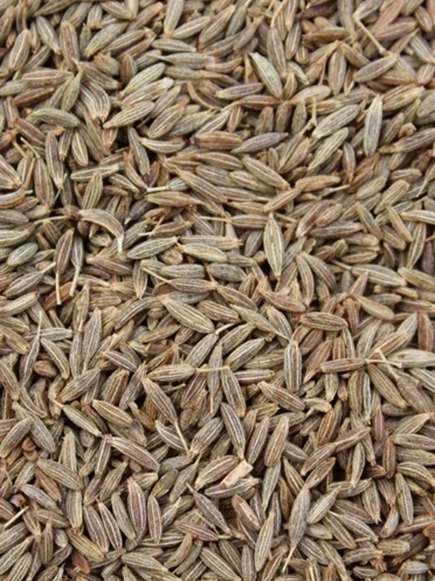 Cumin Seeds-BHA013