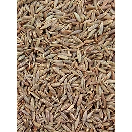 Cumin Seeds