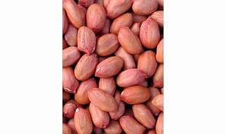 Natural Peanut