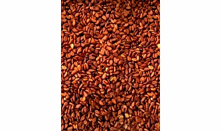 Brown Sesame Seeds