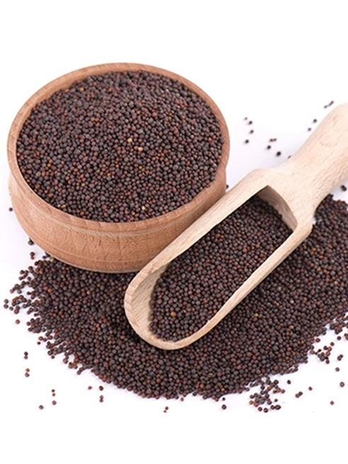 Black Mustard Seeds-BHA010